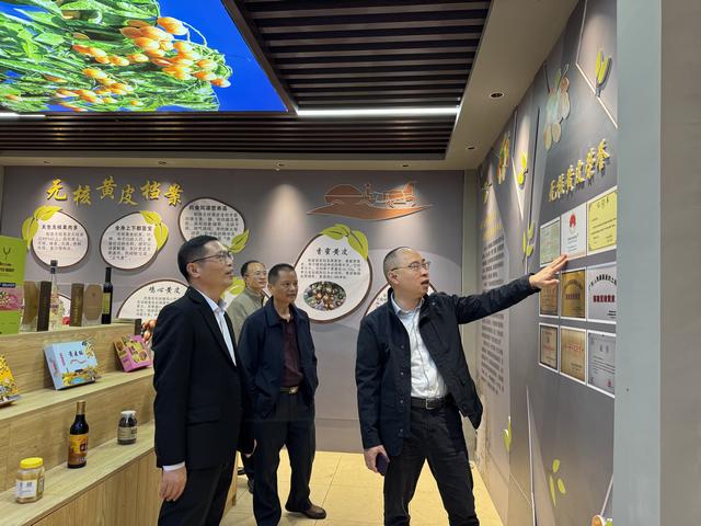 3.4云浮市市場監(jiān)督管理局蒞臨郁南縣開展知識產權調研工作照片1.jpg